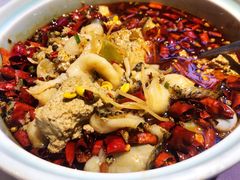 黑豆花水煮鱼-舞辣辣·川菜·黑豆花水煮鱼(卓悦汇店)