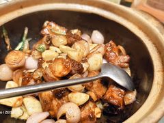 -望乡楼上海菜(日月光店)