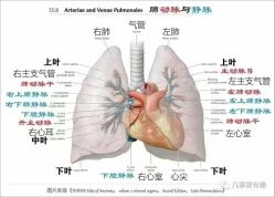 -名发世家烫染