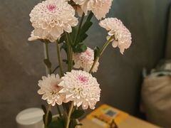 -阿吾罗·月咏精致日料(港汇恒隆广场店)