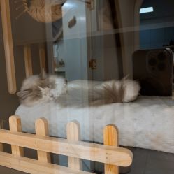 -花系美·美甲美睫精品店