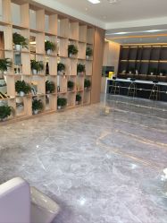 -碧莲盛·不剃发植发