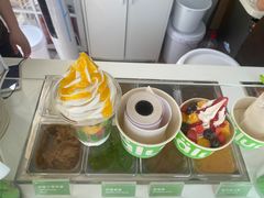 -Salud撒露欧洲冻酸奶(蓝色港湾店)