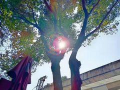 -湖滨客舍·湖北菜