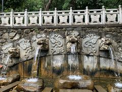 -蝴蝶泉公园