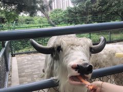 -长白岛森林公园