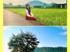 -艾米稻香小镇
