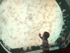 -沈阳海洋探索中心