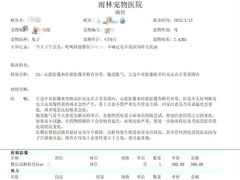 -雨林宠物医院 非犬猫异宠专科