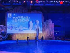 -华夏文旅海洋公园