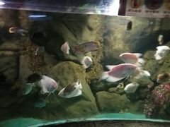 -苏州海洋馆
