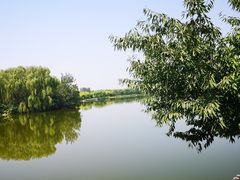 -大兴滨河森林公园