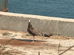 -那香海钻石沙滩浴场