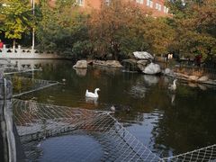 教学楼-北京市海淀外国语实验学校