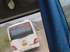 -新疆天山野生动物园