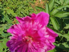 -幕燕滨江·长江观音景区