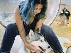 -Husky Go! 哈士奇体验馆·宠物咖啡厅狗咖