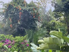-荷花温泉