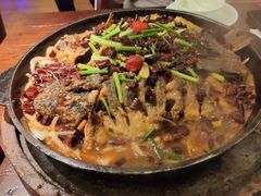 -老板恋上鱼(荣盛广场店)