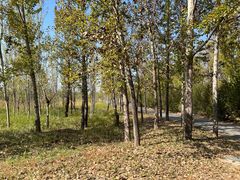 -野鸭湖国家湿地公园