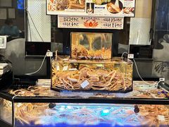 -蟹道乐(道顿堀本店)