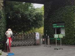-华侨城湿地公园