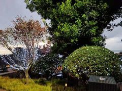 -七彩云南古滇温泉山庄
