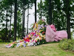 -杭州湾海上花田景区