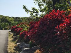 -威海华夏城景区