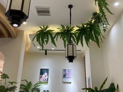 -猫域·湾主题猫咖·宠物吧(南坪城市广场店)