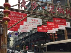 -泡桐树街