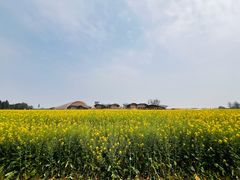 -中国天府农业博览园