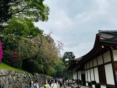 -名古屋城