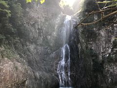 -龙湾潭国家森林公园