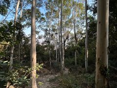 -草庵摩尼教遗址公园