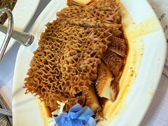 -新雅粤菜馆(南京东路店)