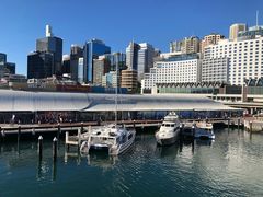 -Pancakes on the rocks(Darling Harbour)