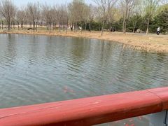 -东郊湿地公园