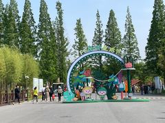 -黄海国家森林公园