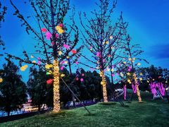 -祥源·阜阳生态乐园