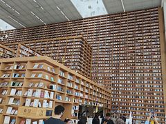 -朵云书院(滴水湖店)