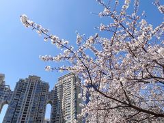 -西北湖绿化广场