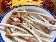 花生芽-王婆乔鲜鱼自助火锅(蜀汉路店)