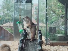 -珠海海泉湾神秘岛亲子乐园