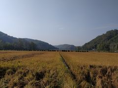 -南泥湾风景区