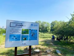 -大兴滨河森林公园