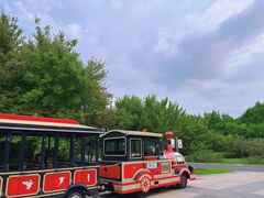 -同里国家湿地公园