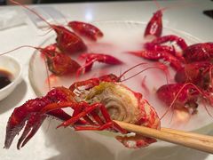-红盔甲·小龙虾(天钥桥店)