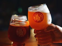 -Boxing Cat Brewery拳击猫精酿啤酒馆(永福店)