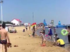 -碧海金沙